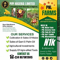 PNL FARMS